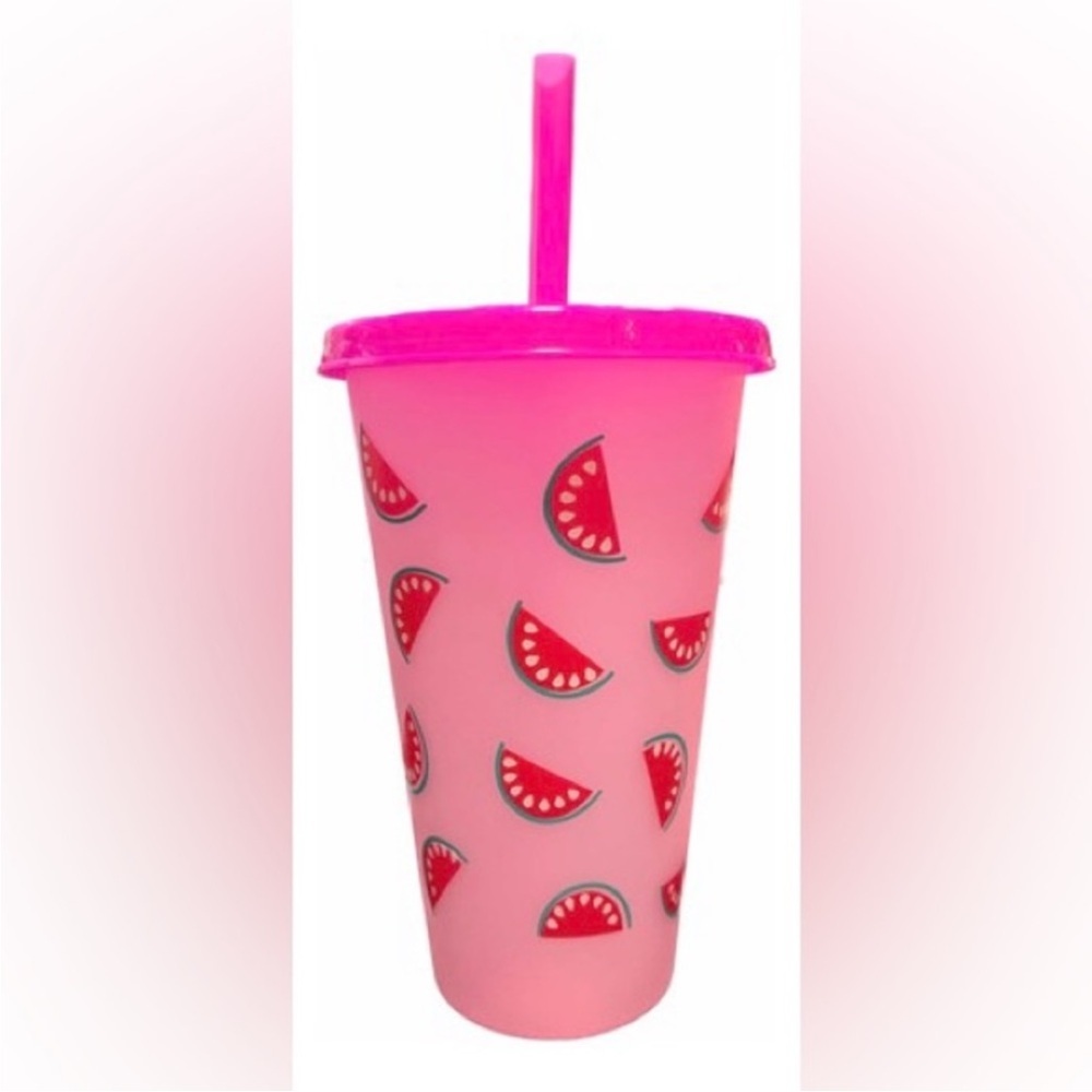 Watermelon 25 oz Tumbler with Straw